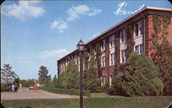 Alice Allgood Cooer Fine Arts Building Postcard