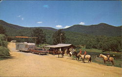 Track Rock, Route 2 Blairsville, GA Postcard 