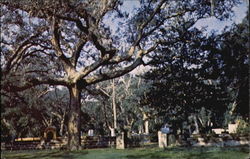 Oak Grove Cemetery Postcard