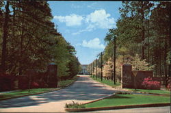 Georgia Southern College, U.S. 301 Statesboro, GA Postcard Postcard