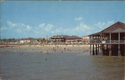 Savannah Beach Georgia Postcard Postcard
