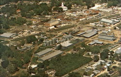 Peanut Capital Of The World Postcard