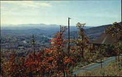 Lake Tamarack Jasper, GA Postcard Postcard