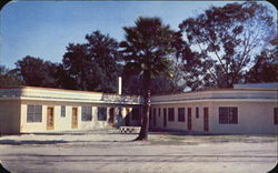 Bolton Shell Motor Court, U. S. 19 and 27 Perry, FL Postcard Postcard