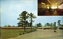 Pines Motel Opelika, AL Postcard Postcard