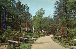 Avenue Of Flags Warm Springs, GA Postcard Postcard