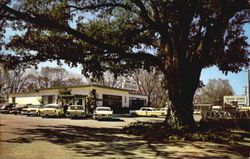 Merry Acres Restaurant, U. S. Highway 82 Postcard