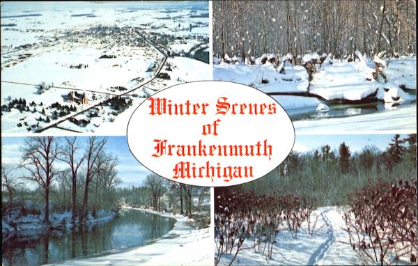 Winter Scenes Of Frankenmuth Michigan