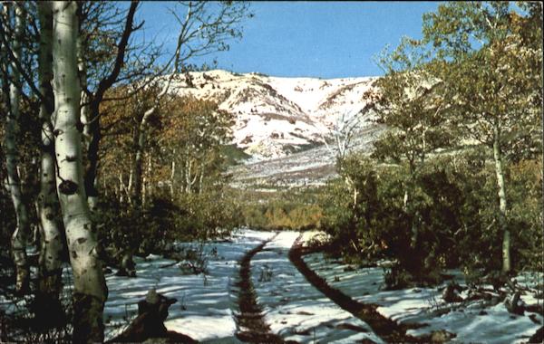 Lime Creek Area In Fall Jackpot Nevada