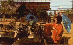 Japanese Village Postcard