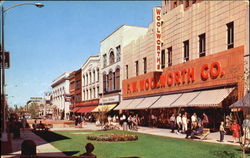 The Mall Kalamazoo, MI Postcard Postcard