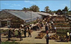 Clyde Smith & Sons, 8000 Newburgh Road Postcard