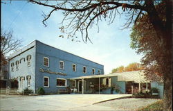 The Treasure Mart, 529 Detroit St Postcard