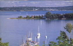 View From The Bluff Postcard