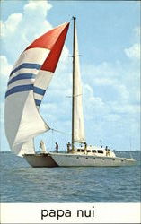 Papa Nui Catamaran Michigan Sailboats Postcard Postcard