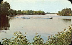 Maple Lake Postcard