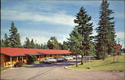 The Pines Motel Saint Ignace, MI Postcard Postcard