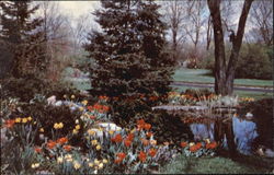 Acacia Park Cemetery, 31300 Southfield Road Postcard