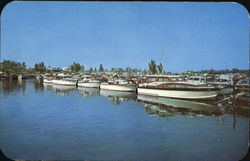 Home Of The Great Lakes Regatta - Power Boat Races Postcard