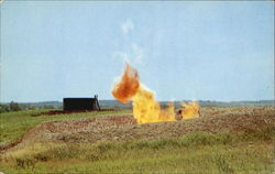 Oil Wells Postcard