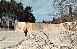 Upper Falls, Tahquamenon River Paradise, MI Postcard Postcard