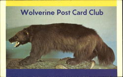 Wolverine Post Card Club Wolverine Post Card Club