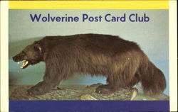 Wolverine Post Card Club Detroit, MI Postcard Postcard