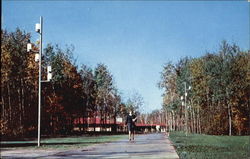 Walkway To Dow Commons, Northwood Institute Postcard