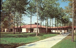 Close-Up View Of Dow Commons, Northwood Institute Postcard