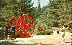 Logging Wheels, Hartwick Pines State Park Grayling, MI Postcard Postcard