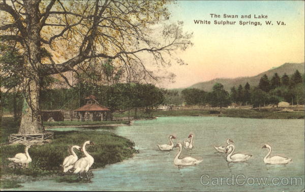 The Swan And Lake White Sulphur Springs West Virginia