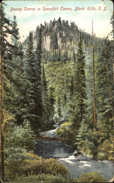 Beauty Scenes In Spearfish Canon South Dakota