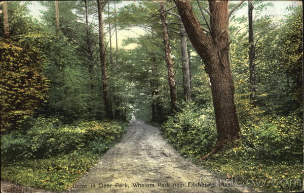 Drive In Deer Park, Whalom, Park Fitchburg Massachusetts