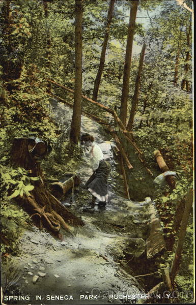 Spring In Seneca Park Rochester New York