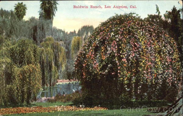 Baldwin Ranch Los Angeles California