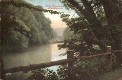 On The Wissahickori Postcard