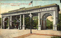 Madison Avenue, Druid Hill Park Postcard