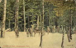 Ross Park Deer Postcard