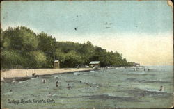Balmy Beach Postcard