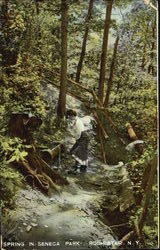 Spring In Seneca Park Postcard
