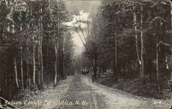 Roscoe Conklin Park Utica, NY Postcard Postcard