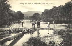 Along The River At Island Park Postcard