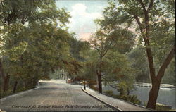 O. Burnet Woods Park Driveway Along The Lake Postcard