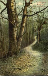 Lovers Lane, Brookside Park Postcard