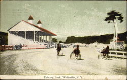 Driving Park Postcard