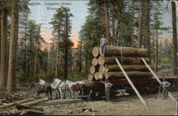 Logging Scene Wausau, WI Postcard Postcard