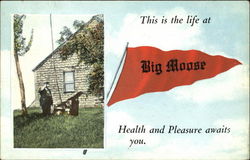 This Is The Life At Big Moose Postcard