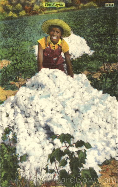 Cotton Picking - The Payoff Black Americana