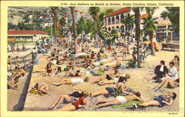 Sun Bathers On Beach At Avalon, Crescent Avenue California