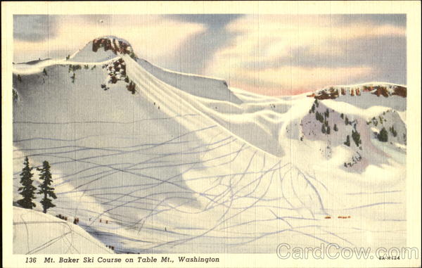 Mt. Baker Ski Course On Table Mt Scenic Washington
